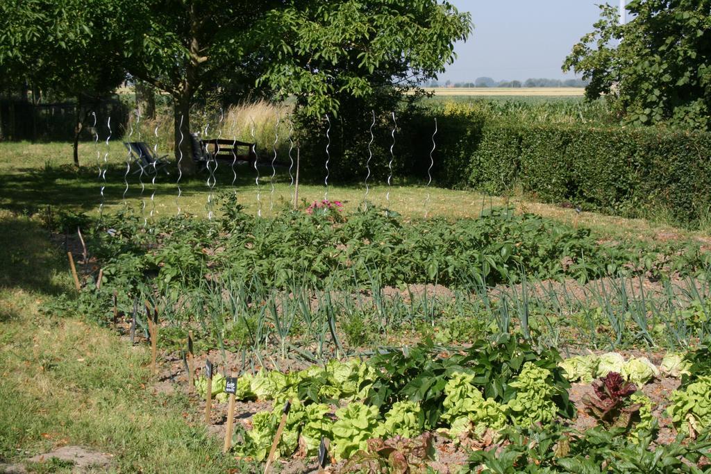 Paardenhof Guesthouse Esquelbecq Kültér fotó