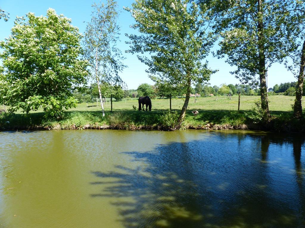 Paardenhof Guesthouse Esquelbecq Kültér fotó